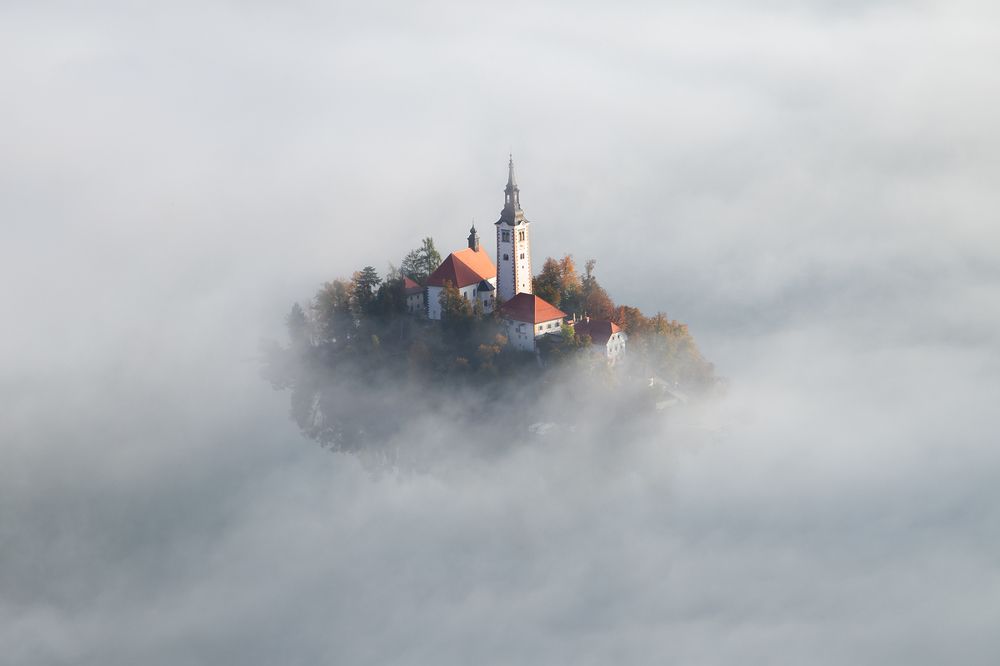 Photograph by Alex Coman