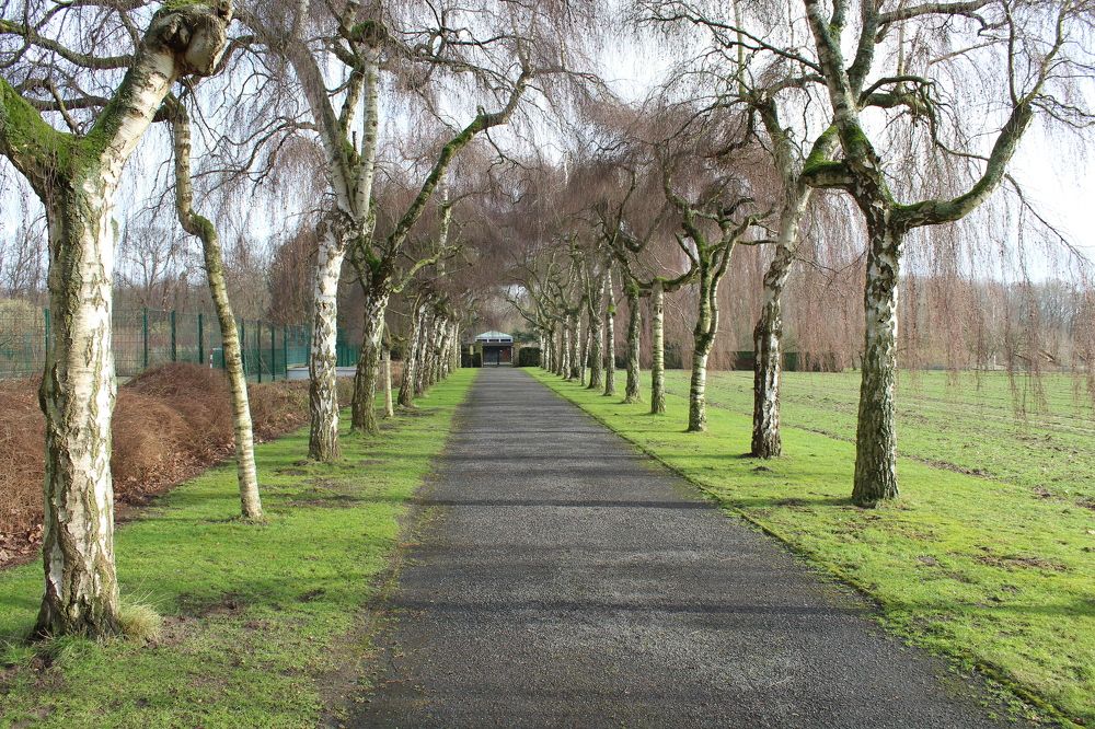 Photograph by Viktor Dikmann