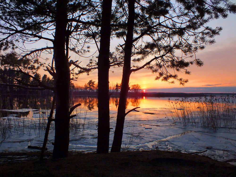 Photograph by Дмитрий Крылов