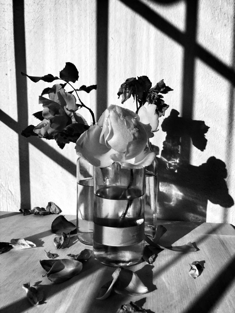 Photograph by Жанна Полуянова