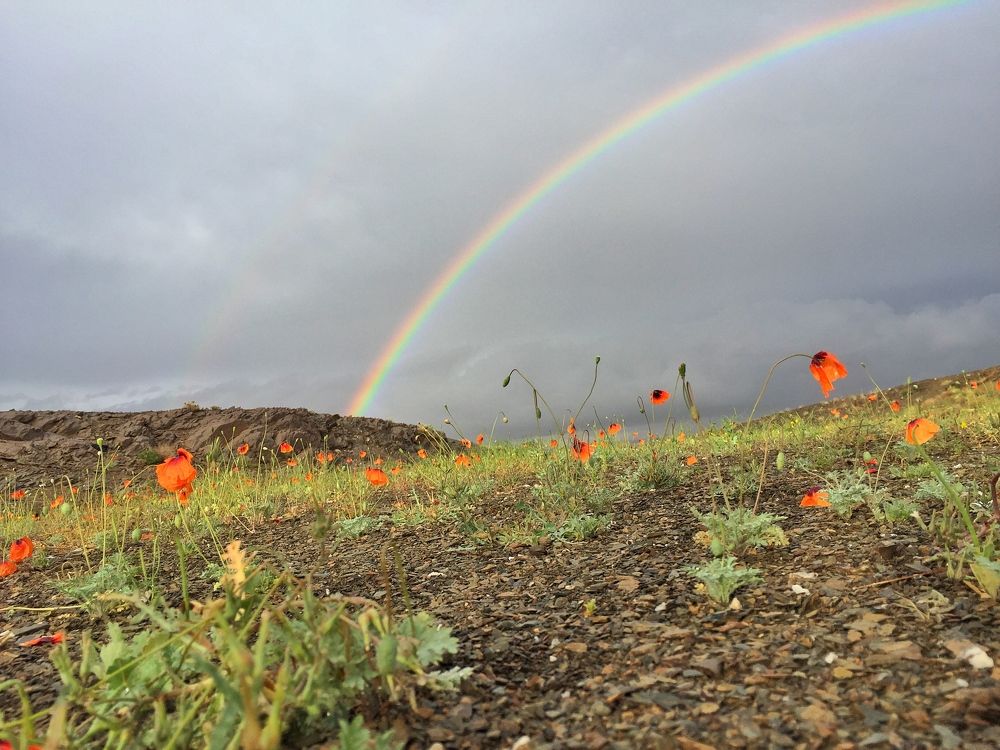 Photograph by najmeh hakimaei