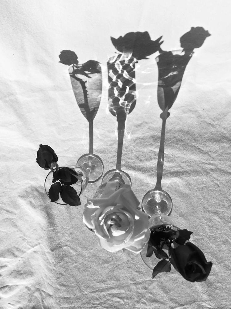 Photograph by Жанна Полуянова