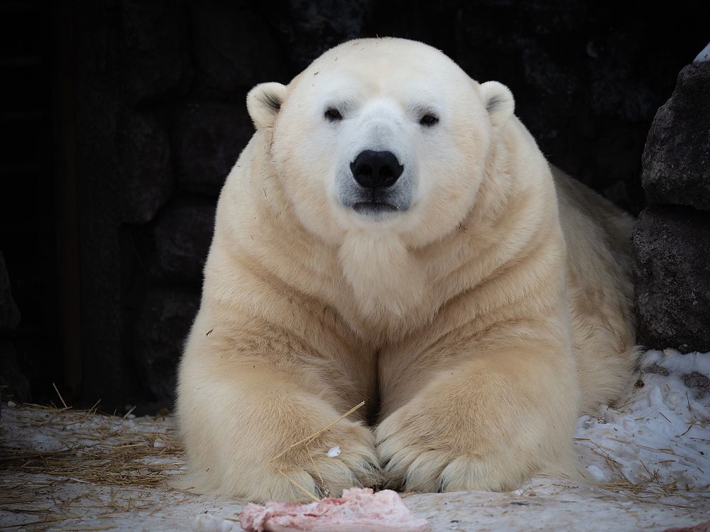 Photograph by Олег Чипура