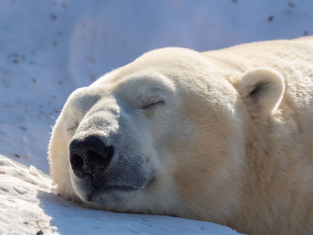 Photograph by Олег Чипура