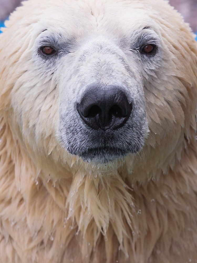 Photograph by Олег Чипура