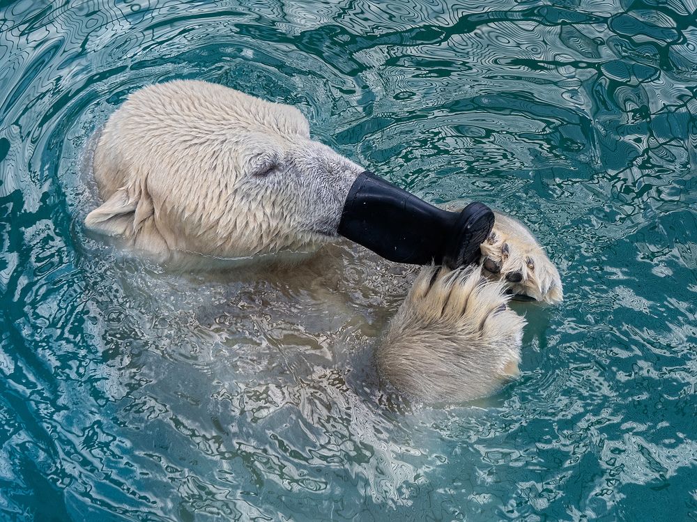 Photograph by Олег Чипура