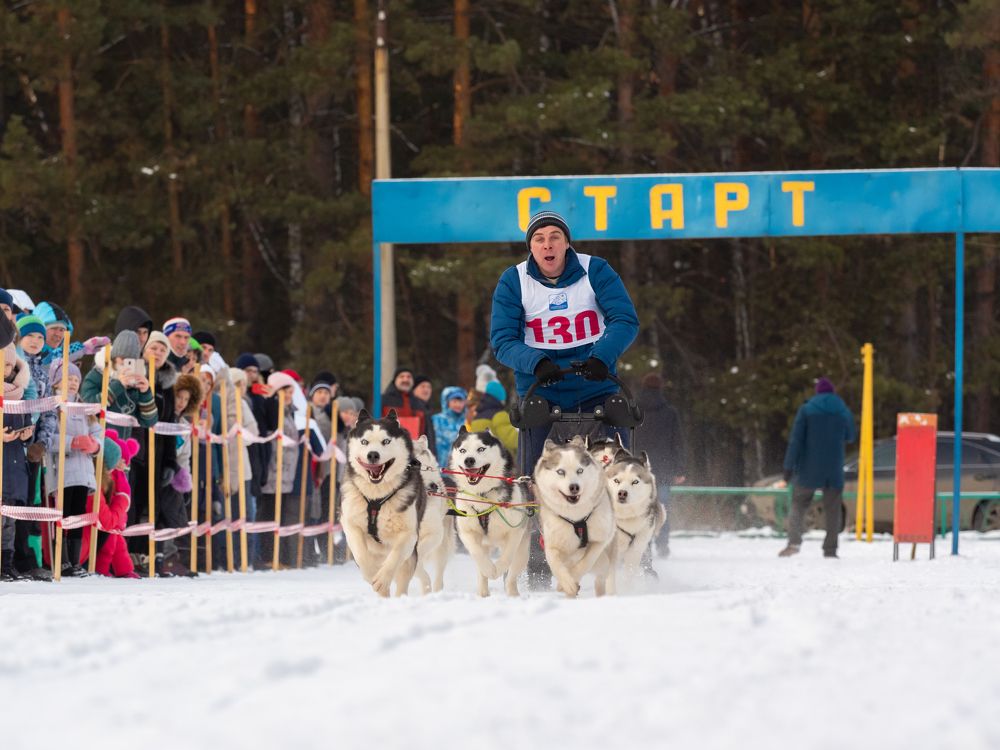 Ездовой спорт