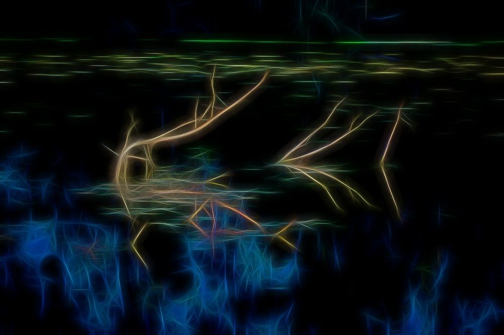 Photograph by Юрий Антоненко