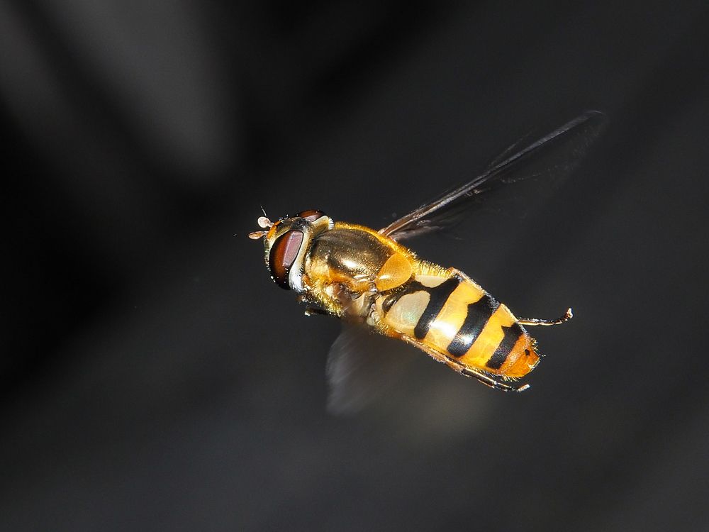 Photograph by Евгения Чепурная