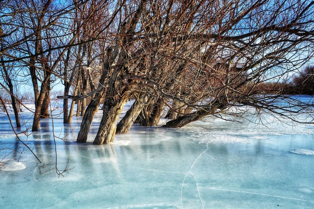 Photograph by Мари Стабровская