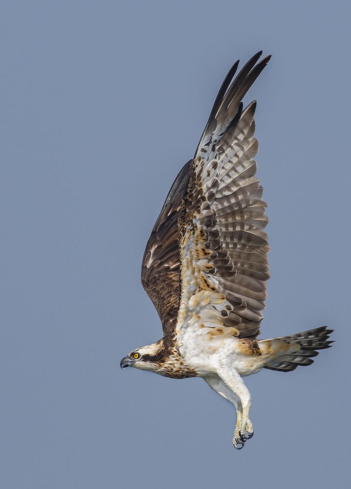 Photograph by Suman Paul