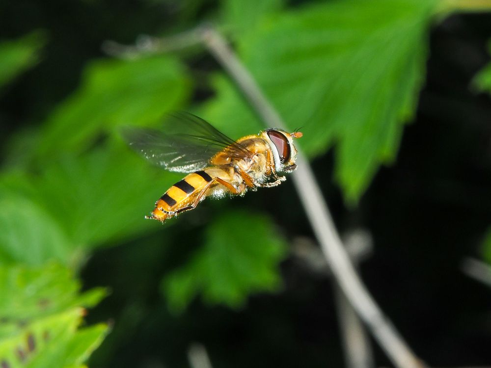 Photograph by Евгения Чепурная
