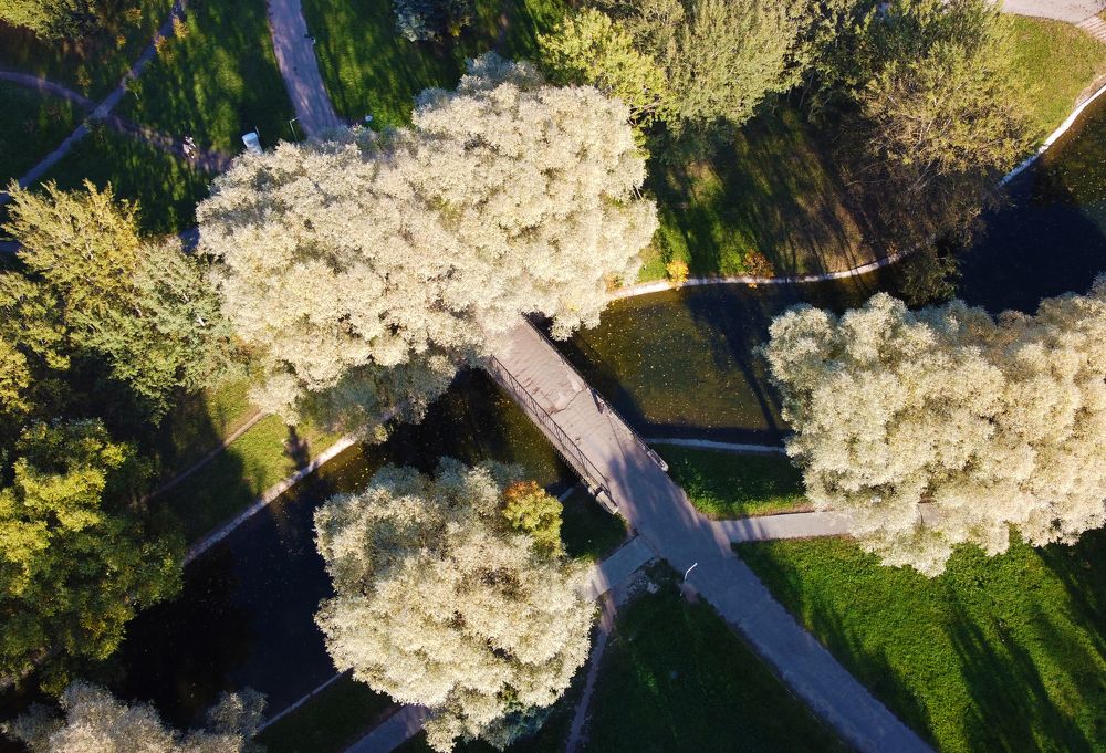 Теплый парк