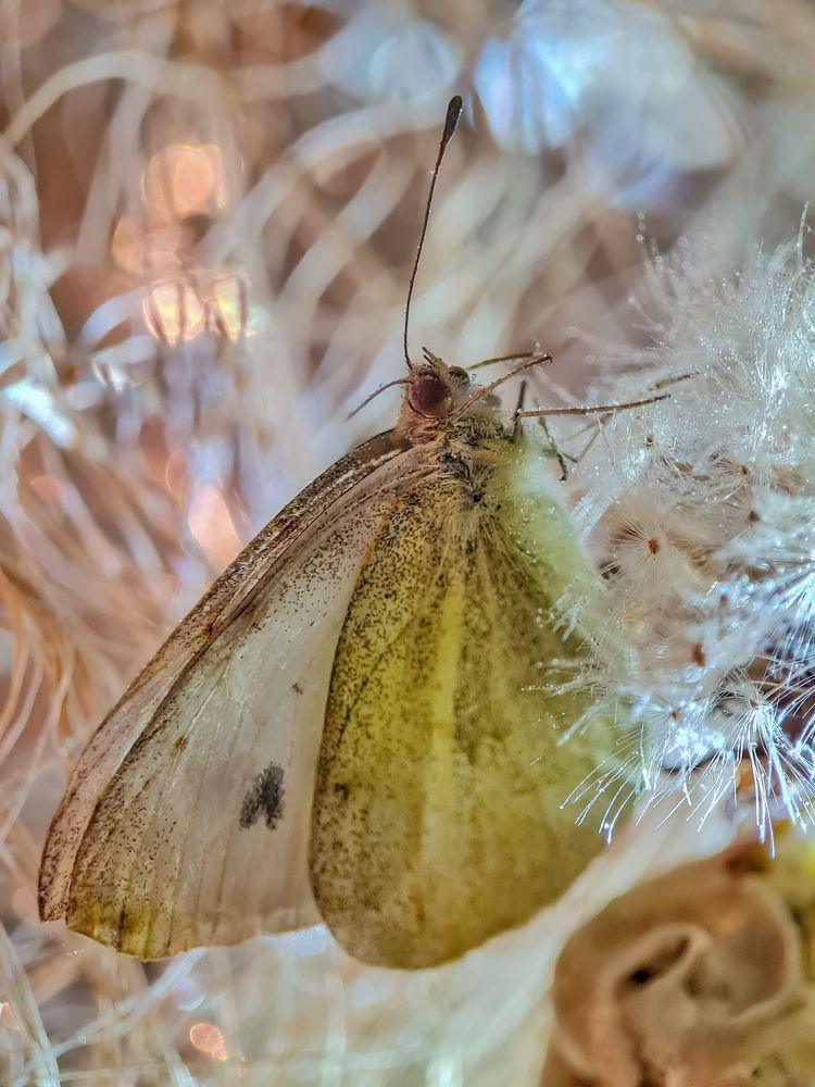 Photograph by Лариса Когтева