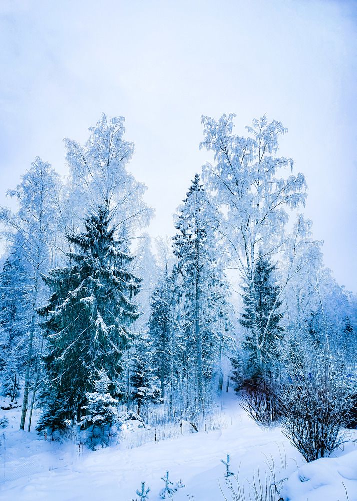 Зимняя красота.