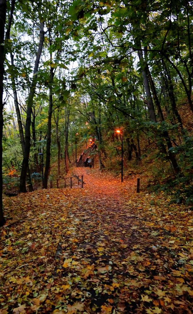 Photograph by Николай Котов