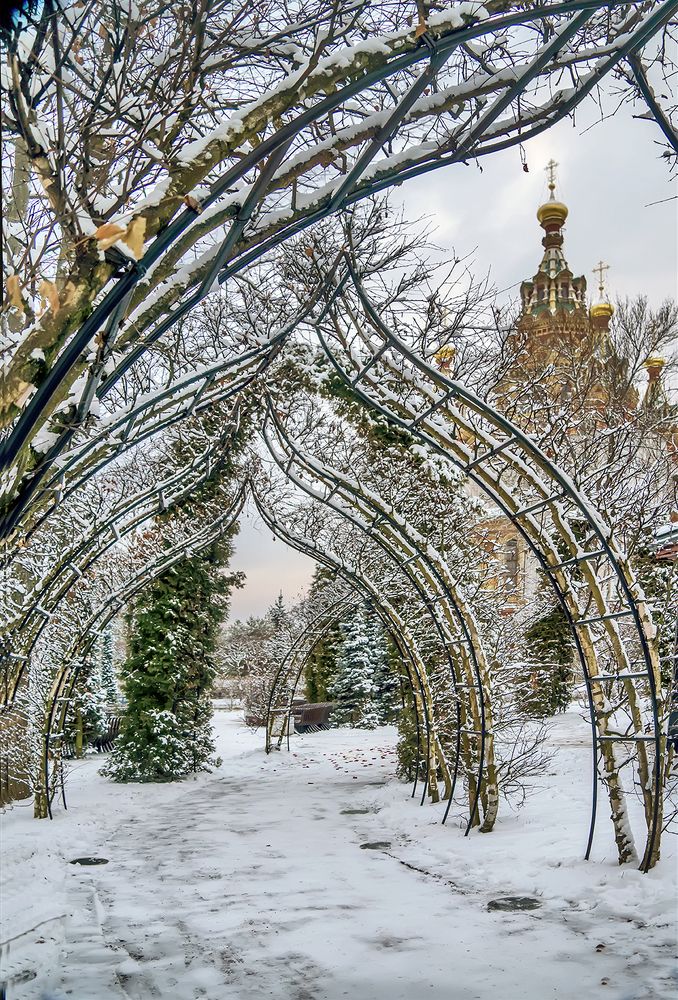 Photograph by Елена Белькова