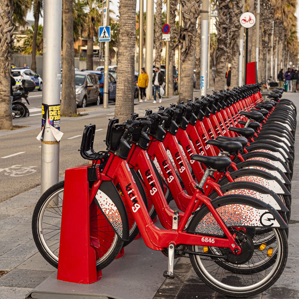 Photograph by Svetlana Zelyanina