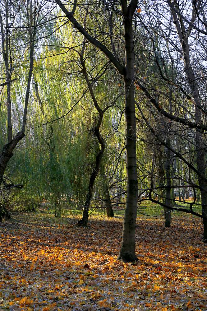 Photograph by Николай Котов