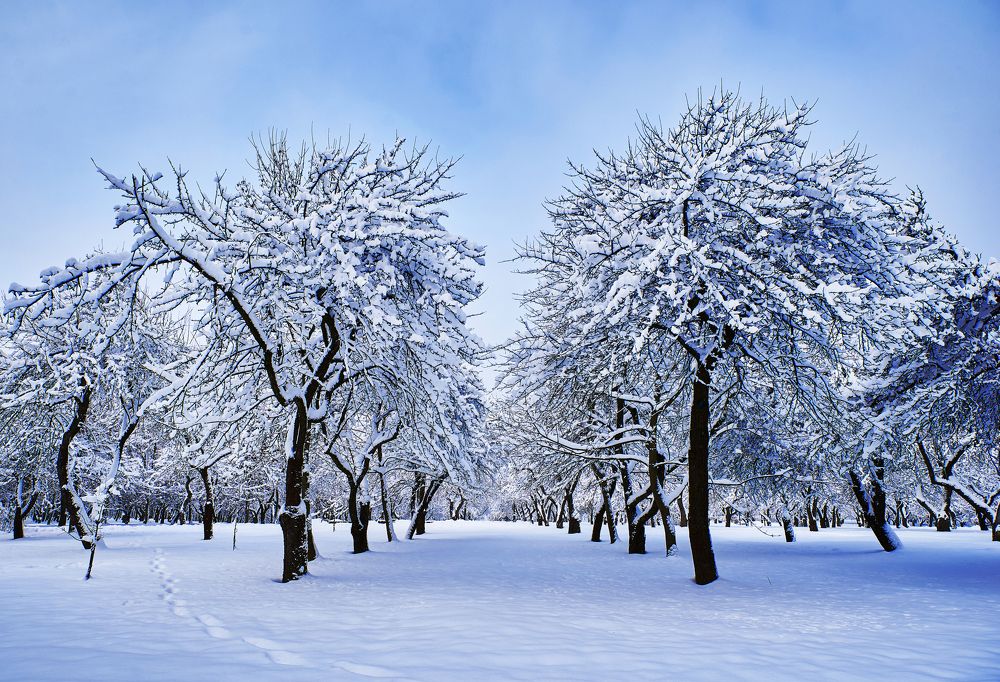 Photograph by Екатерина Коломыцева