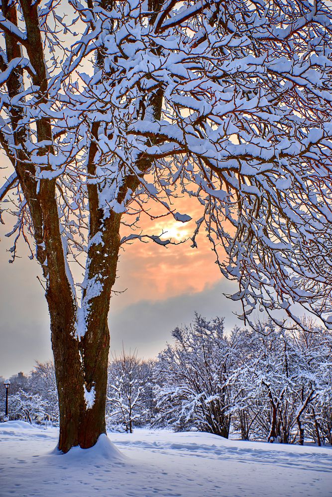 Photograph by Екатерина Коломыцева