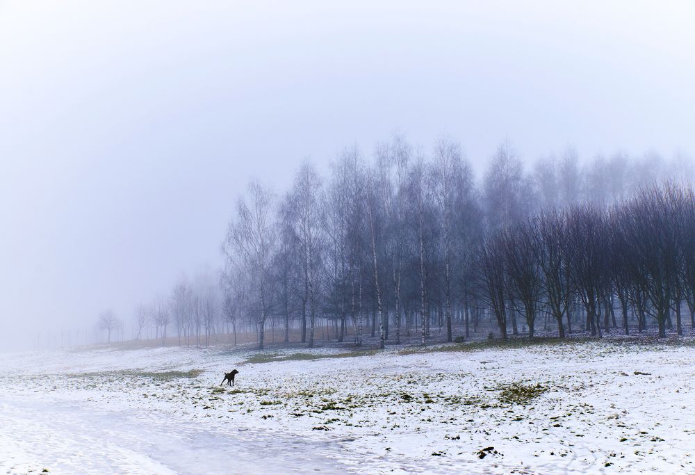 Photograph by Екатерина Коломыцева