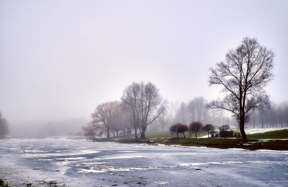 Photograph by Екатерина Коломыцева