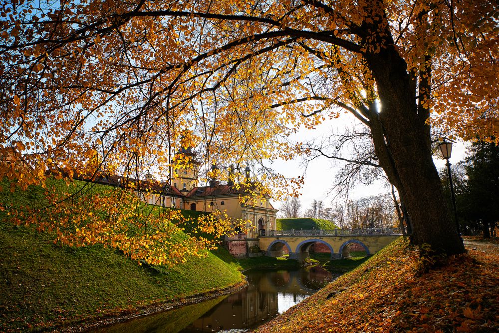 Photograph by Екатерина Коломыцева