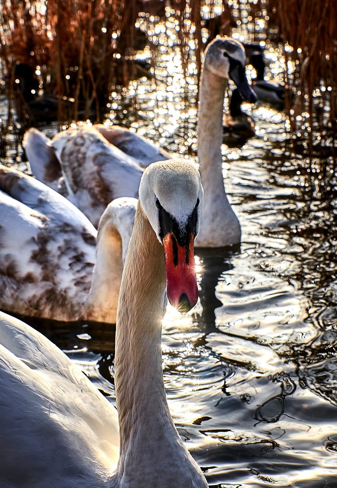 Photograph by Екатерина Коломыцева