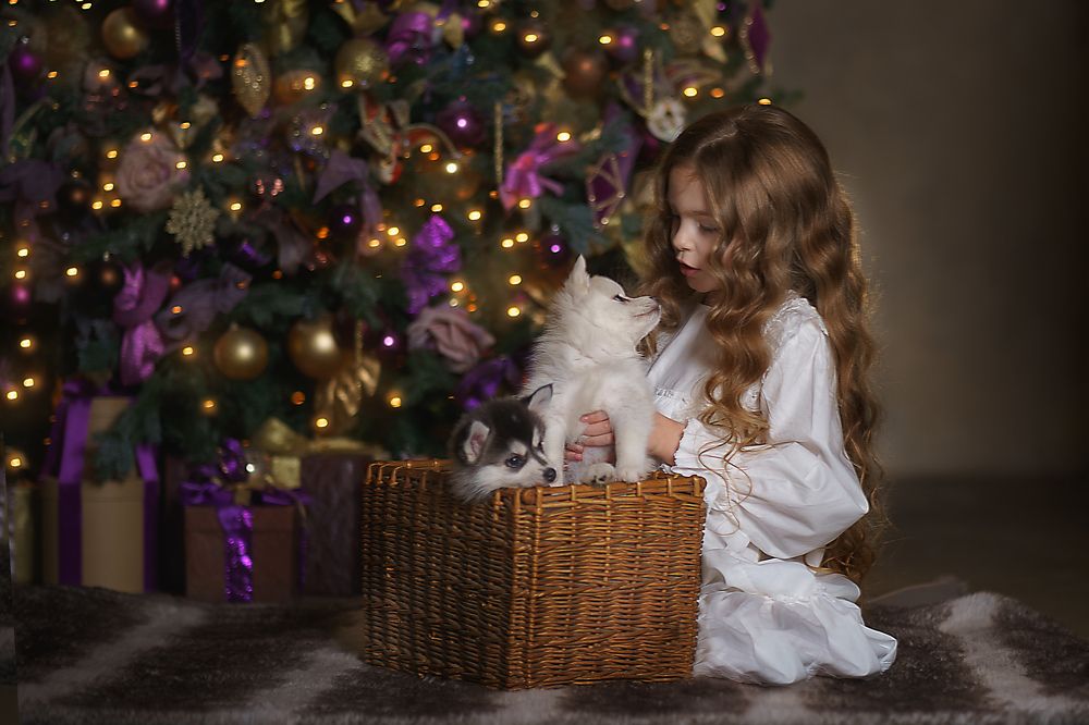 Фотография автора Елена Петрова