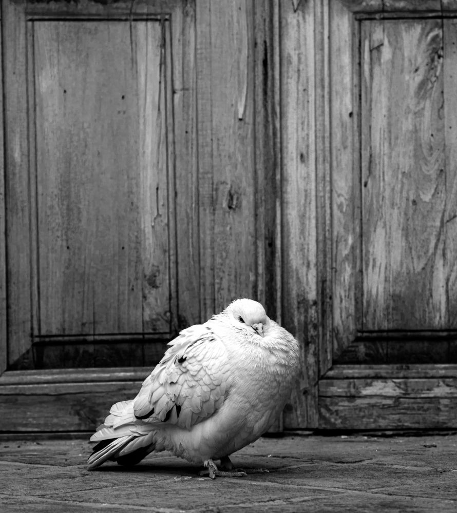 Photograph by mahnaz maleki