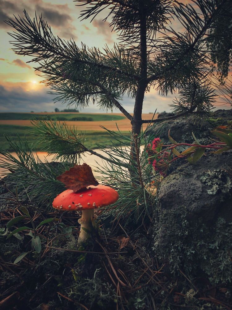 Photograph by Валентина Старикова