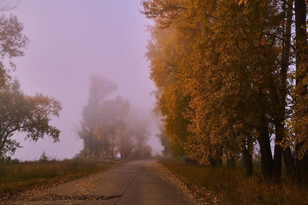 Photograph by Алексей Приешкин