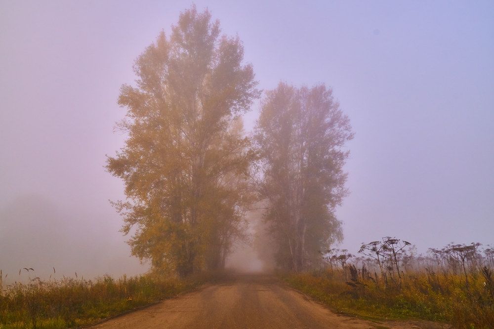 Photograph by Алексей Приешкин