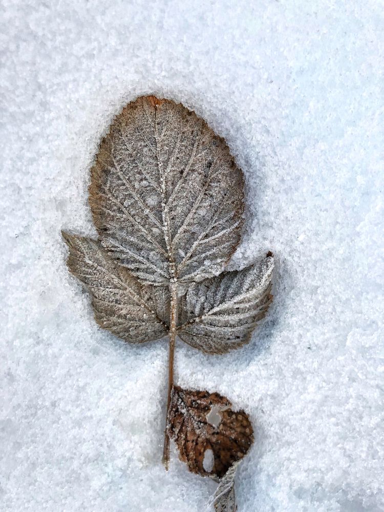 Photograph by Валентина Старикова