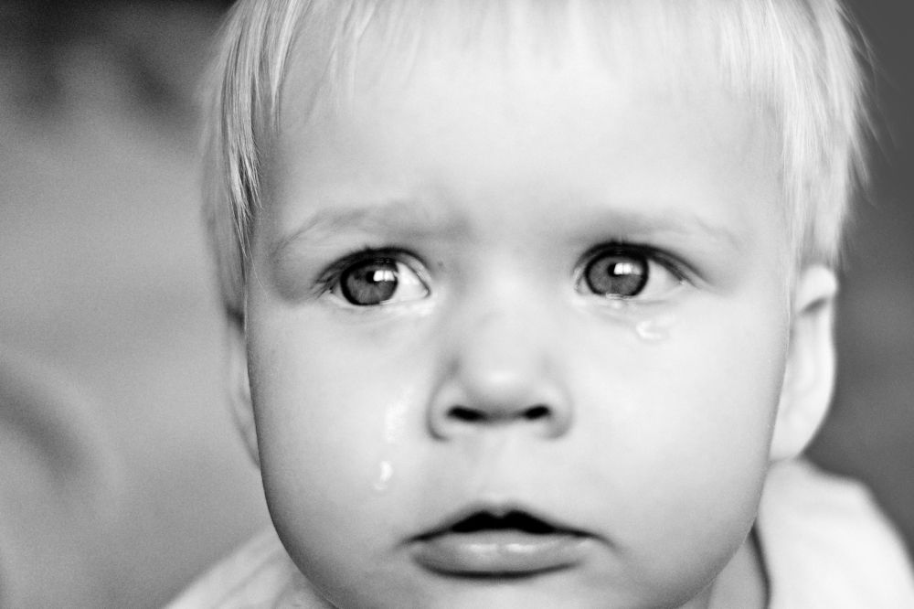 Фотография автора Роман Володащик