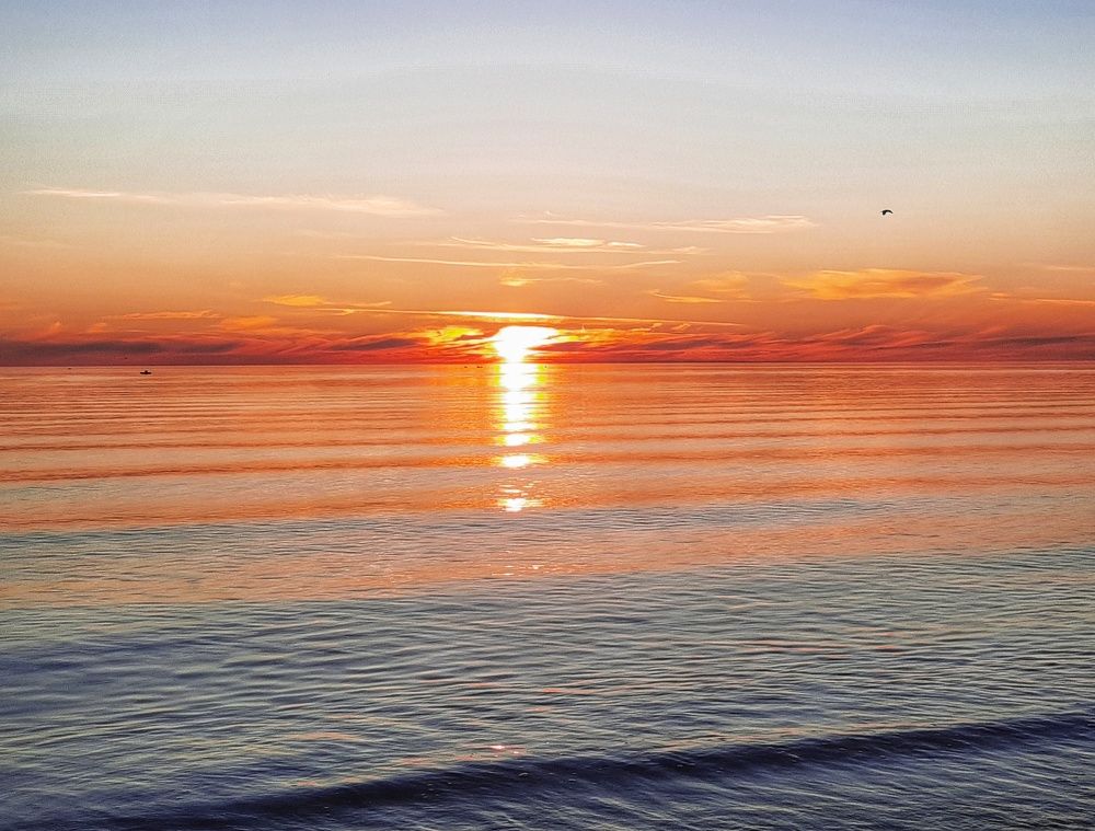 Photograph by Ольга Шаньгина