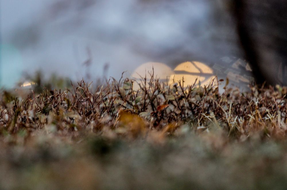 Photograph by Олег Чеботарев