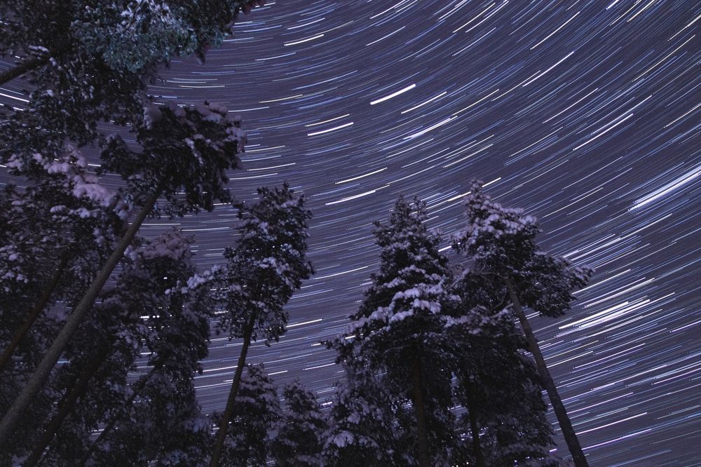 Photograph by Алексей Кабанихин