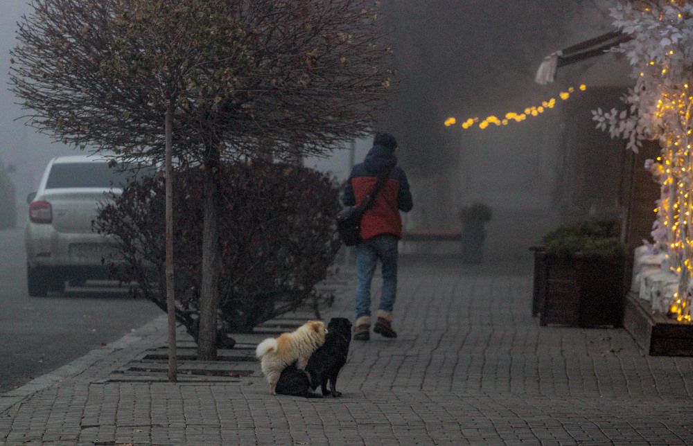 Photograph by Олег Чеботарев