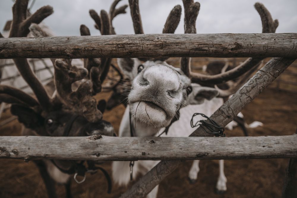 Photograph by Ксения Тишкова