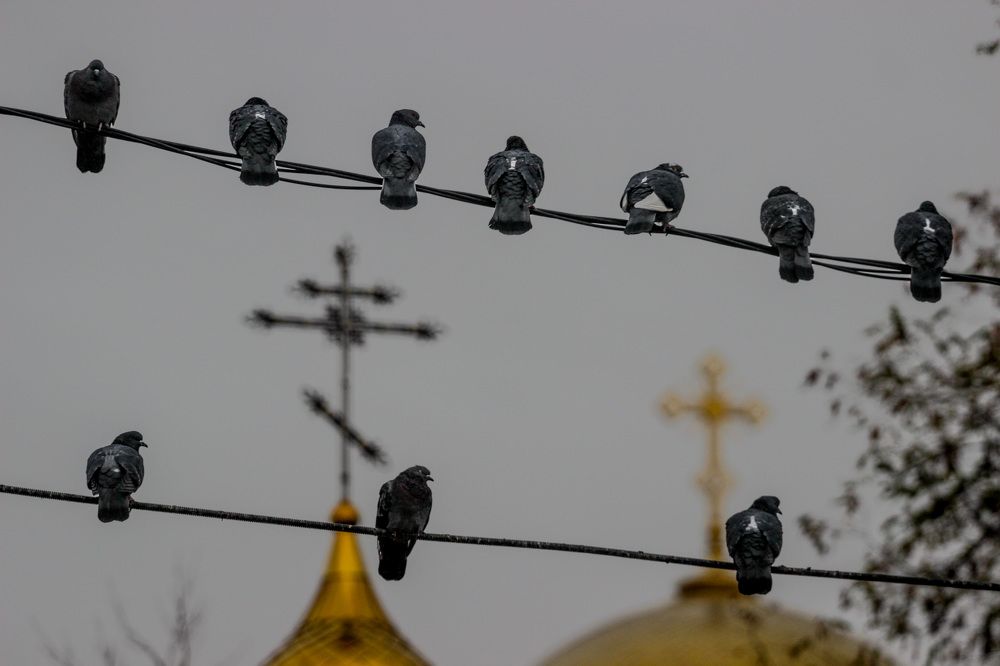 Photograph by Олег Чеботарев