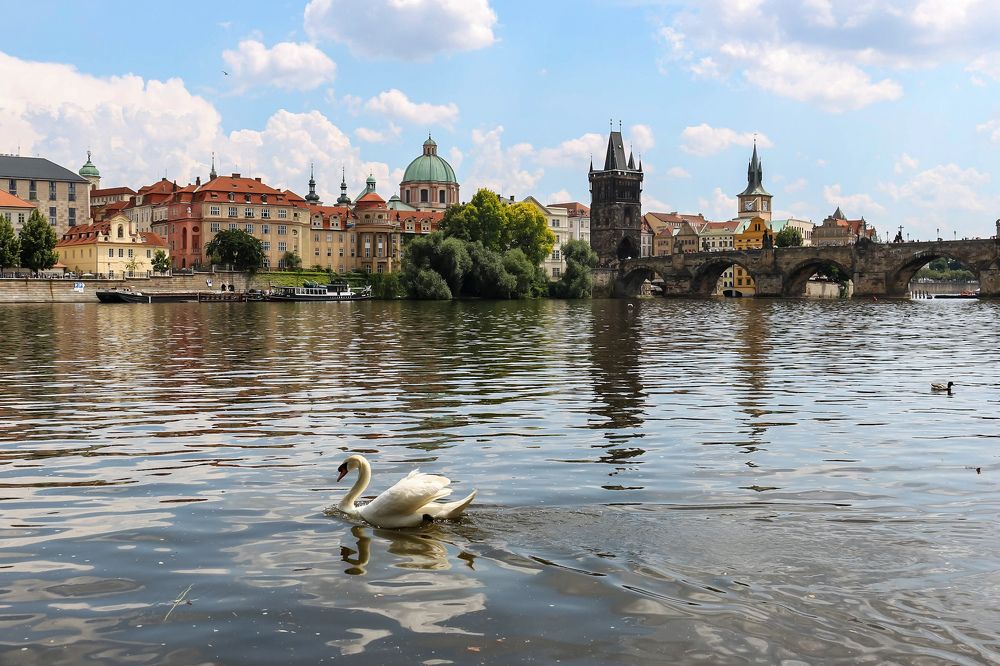 Photograph by Marina Gerashchenko