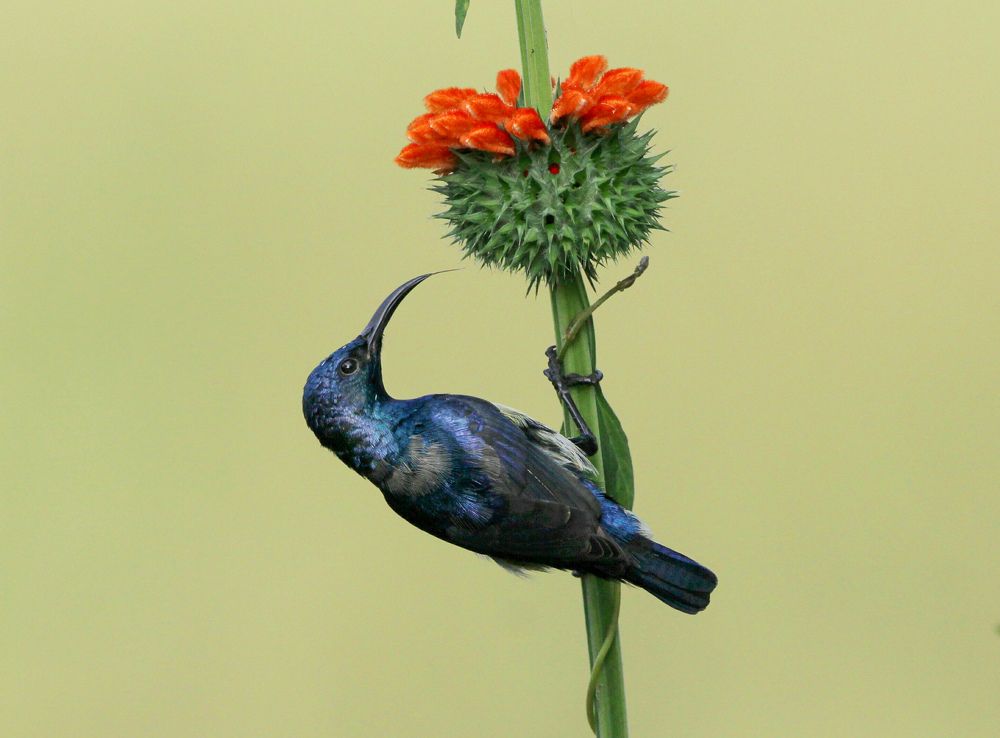 Photograph by Vikram Bahal