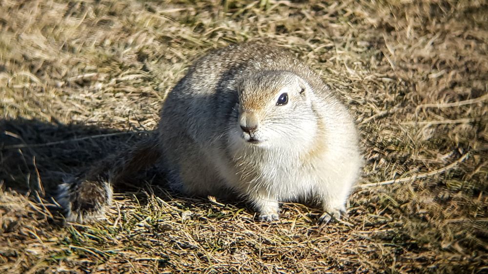 Photograph by Константин Пелых