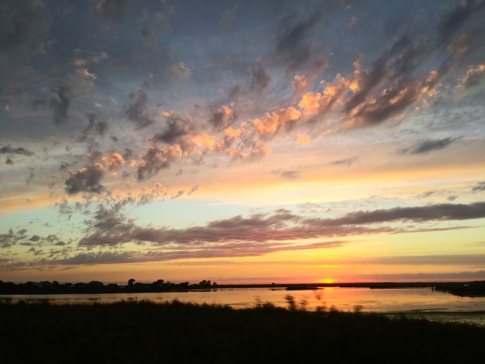 Photo #5621345