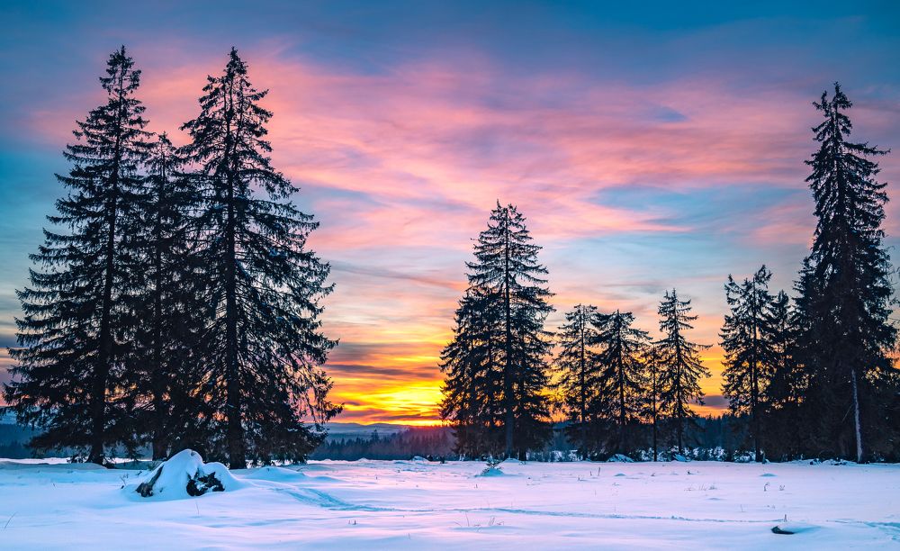 Photograph by Borviz Attila