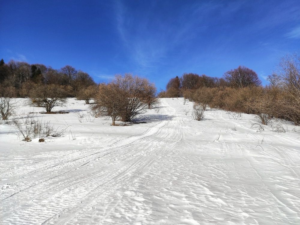 Photograph by Владимир Караман