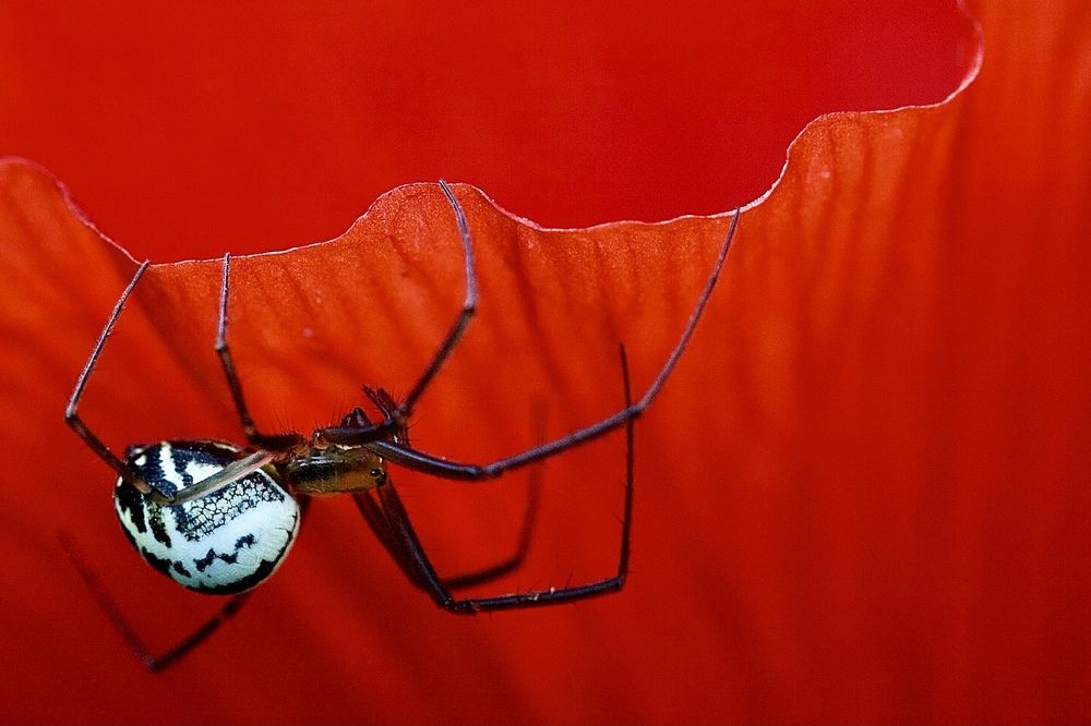 Photograph by Роман Турсков