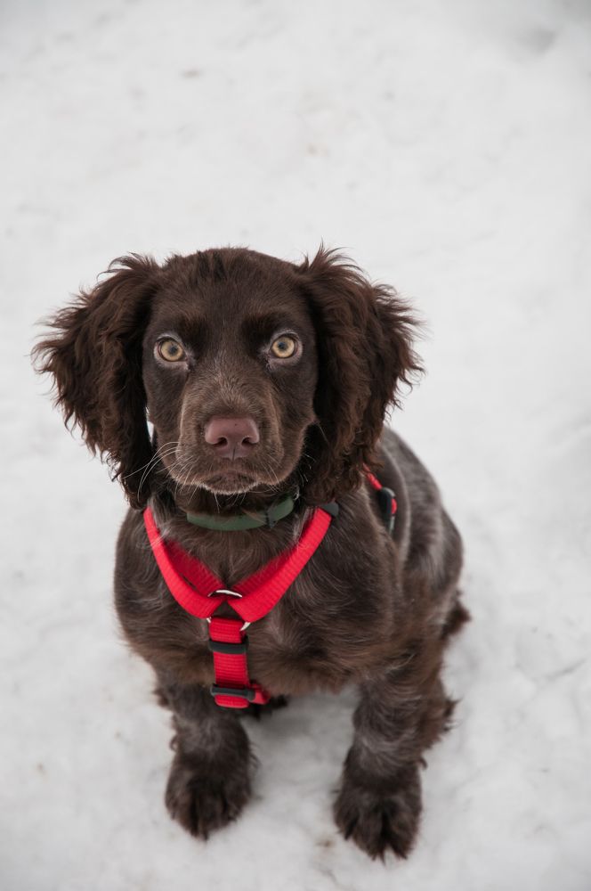 Photograph by Динара Зуйкова